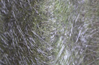 Eltisley fibreglass roof work